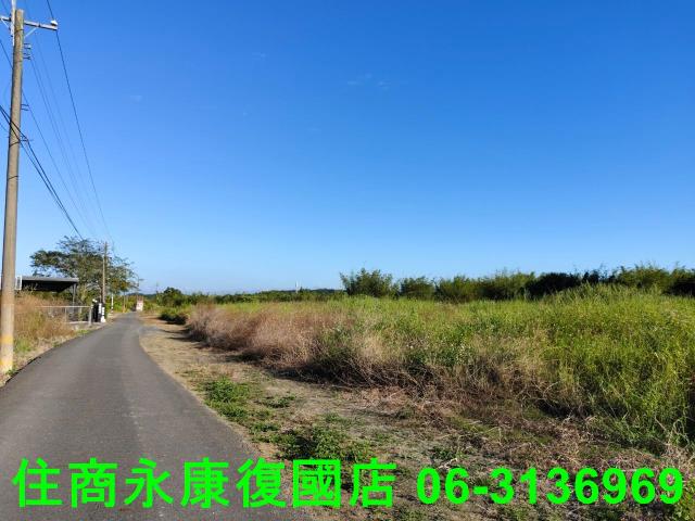 台南農地-6