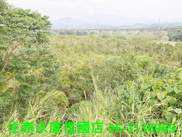 台南農地-7