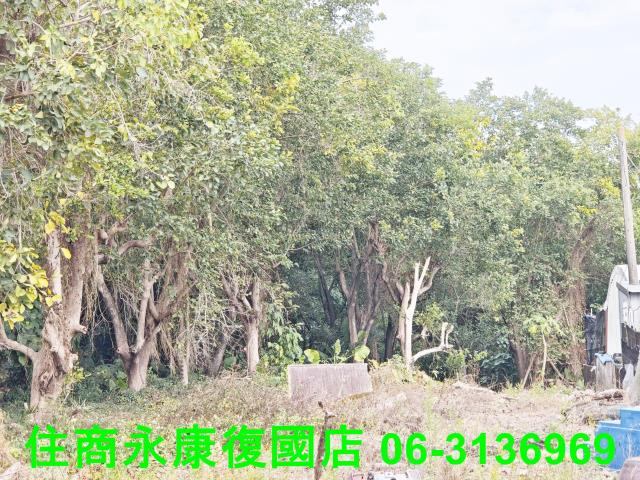 台南農地-9