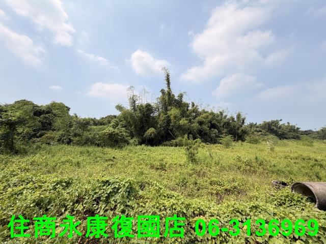 台南歸仁農地-6