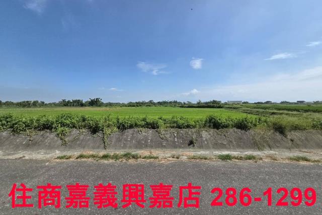 嘉義西區農地-4