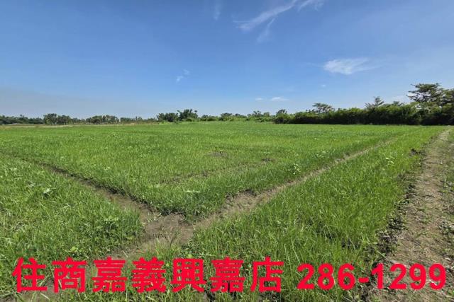 嘉義西區農地-7