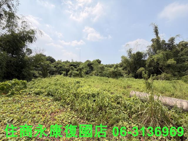 台南歸仁農地-2