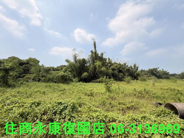 台南歸仁農地-6