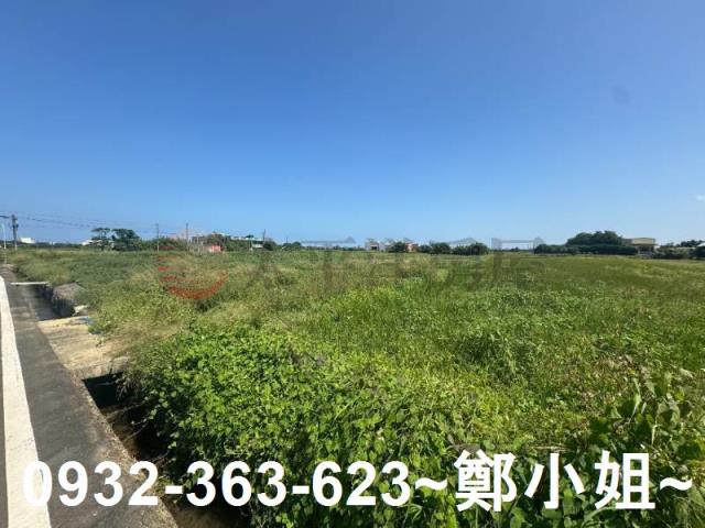 桃園觀音農地-3