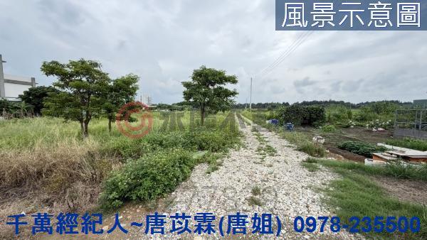 北區農地-5