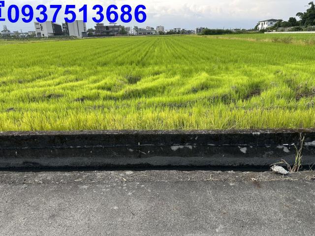 壯圍農地-2