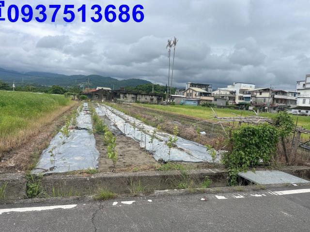 員山農地-12