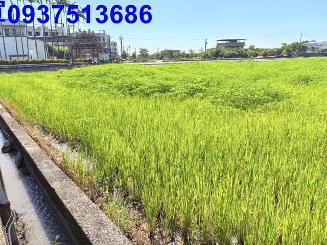 五結農地-3