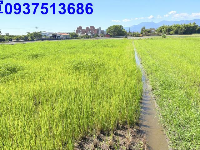 五結農地-4