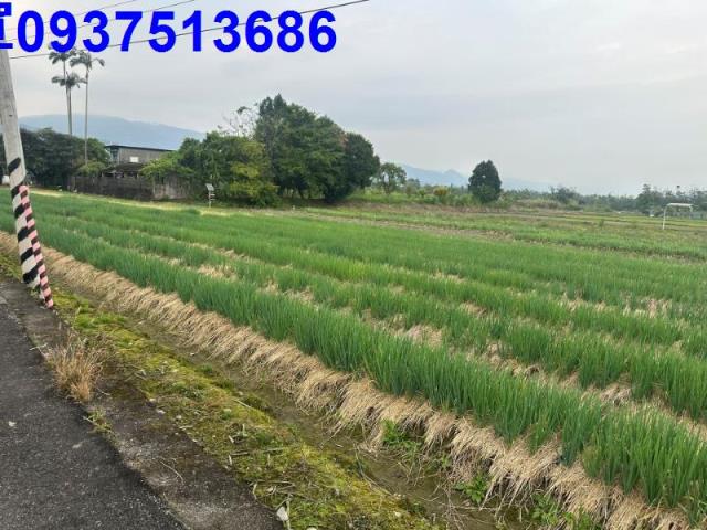 宜蘭農地-1