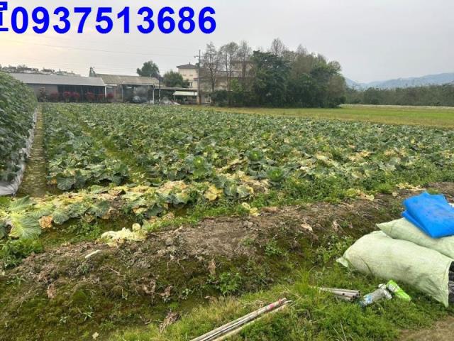 宜蘭農地-2