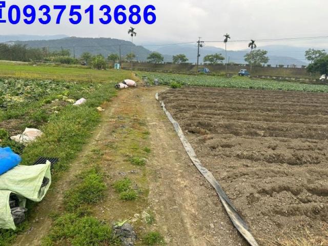 宜蘭農地-3