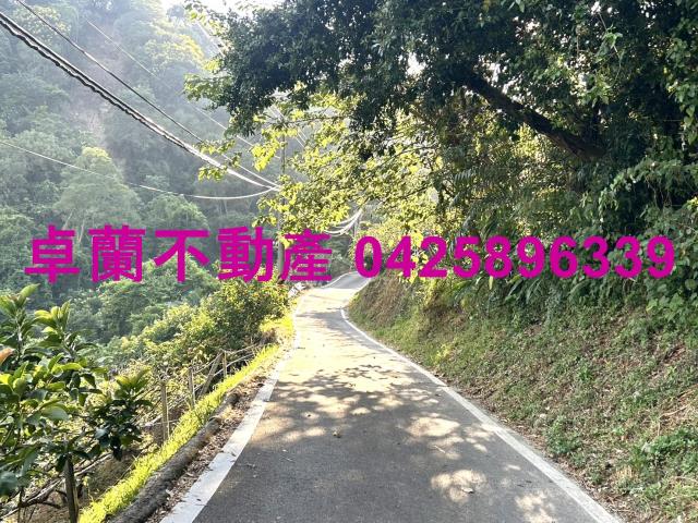 苗栗大湖山坡地-5