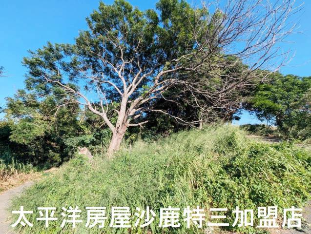 台中沙鹿保護地-2