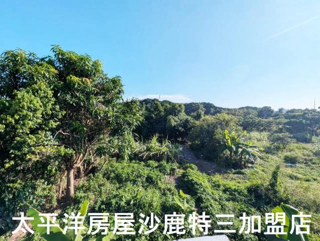 台中沙鹿建地-3