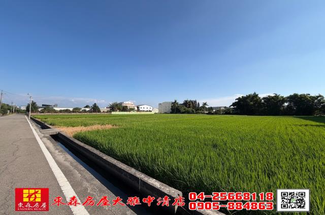 台中神岡農地-4