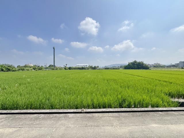 草屯農地-1