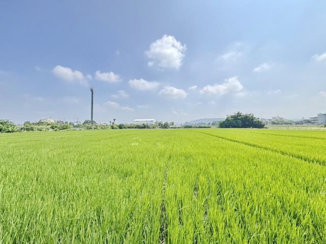 草屯農地-3