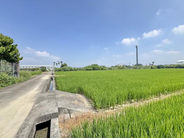 草屯農地-5