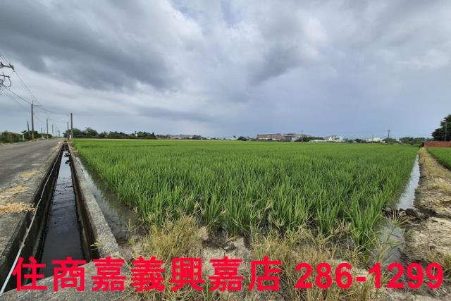 白河農地-10