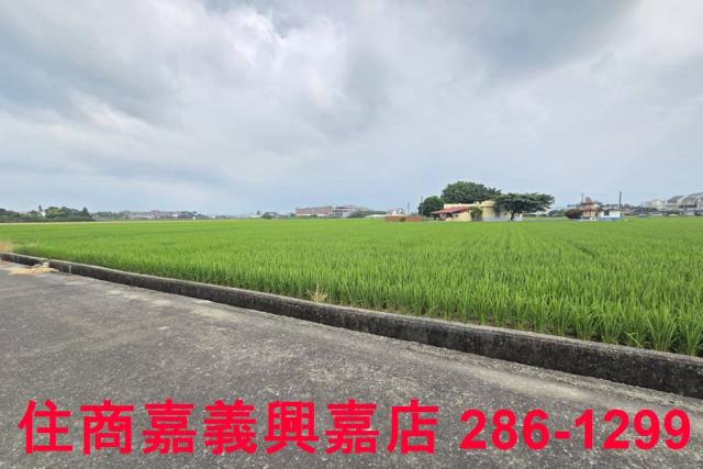 白河農地-2