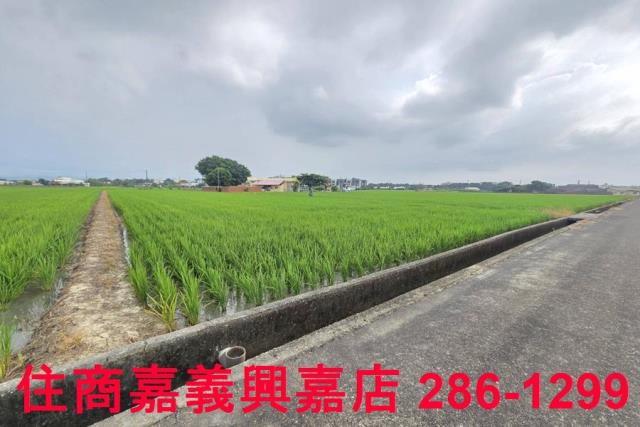 白河農地-7