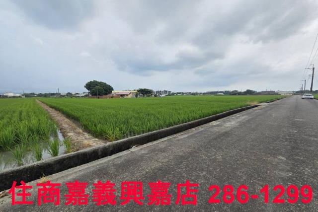 白河農地-8