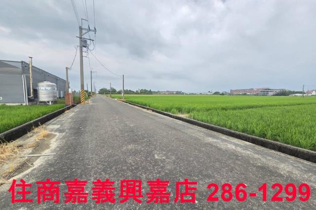 白河農地-9