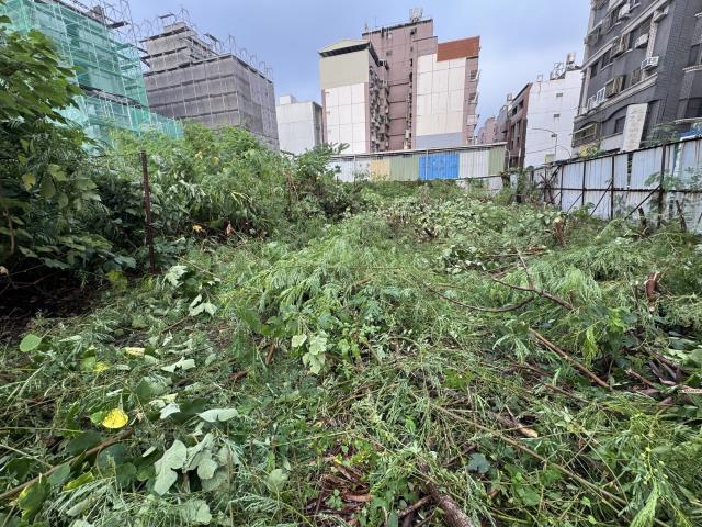 嘉義建地-3
