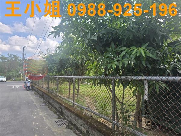 桃園農地-5