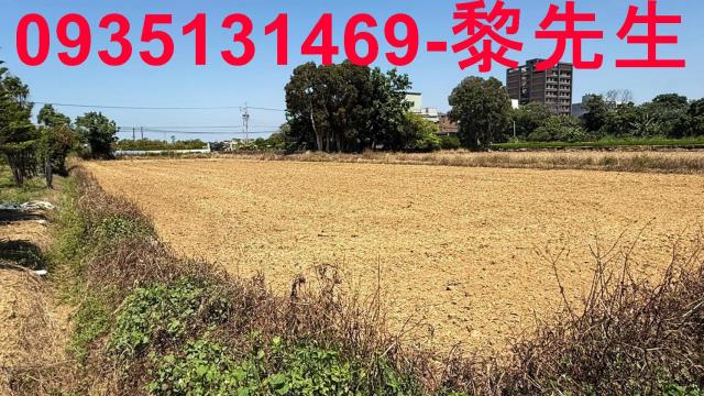 桃園楊梅農地-5