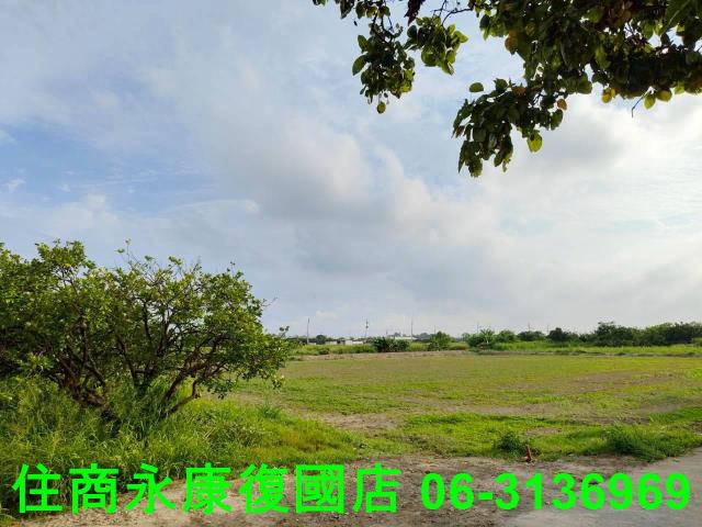 台南佳里農地-12