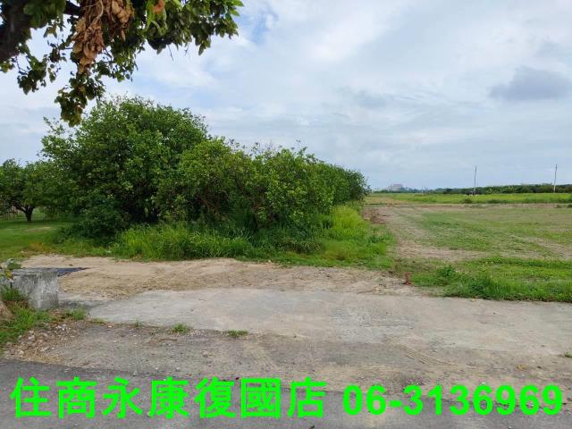 台南佳里農地-3