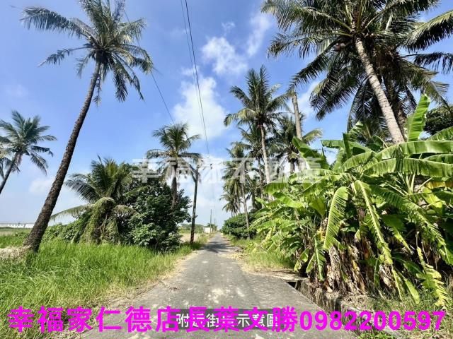 台南西港農地-11