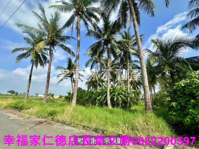 台南西港農地-12