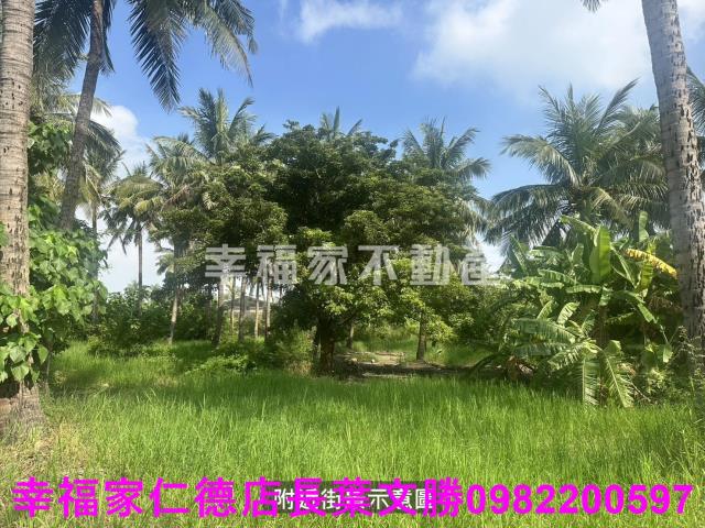台南西港農地-1