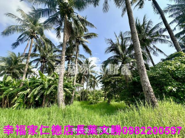 台南西港農地-2