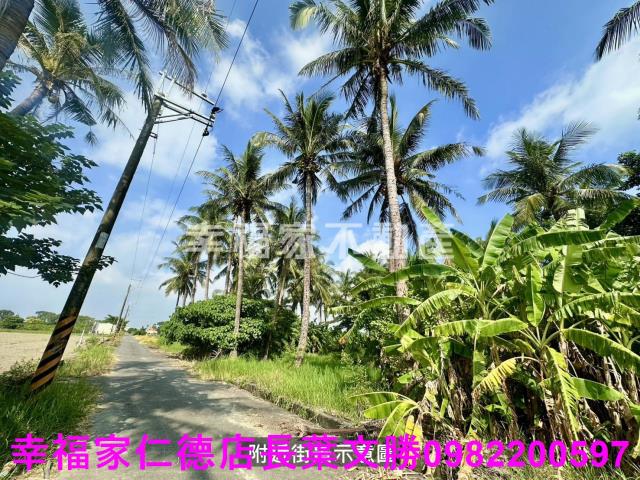 台南西港農地-5