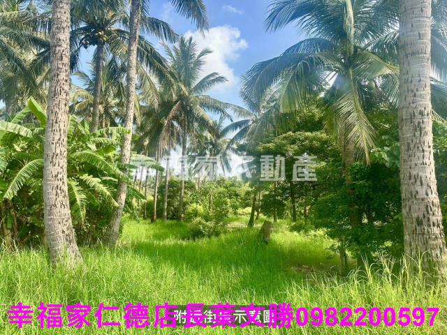 台南西港農地-7