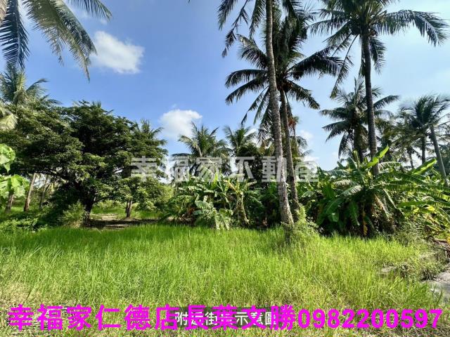 台南西港農地-9