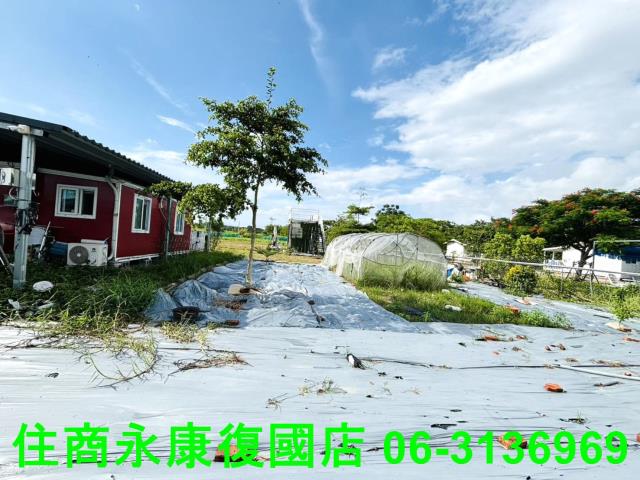 台南關廟農地-3