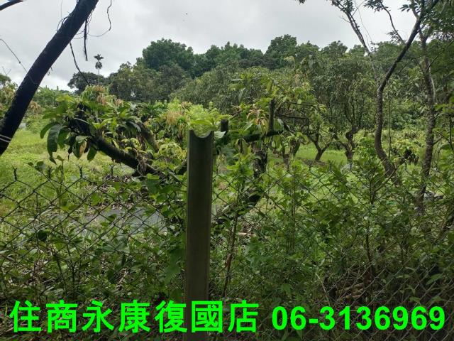 官田農地-11