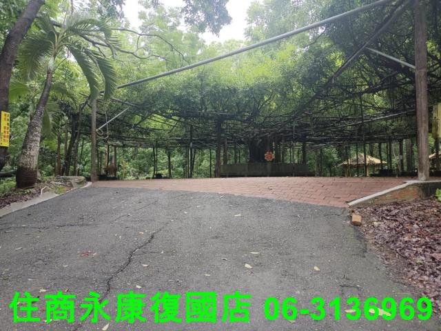 官田農地-3