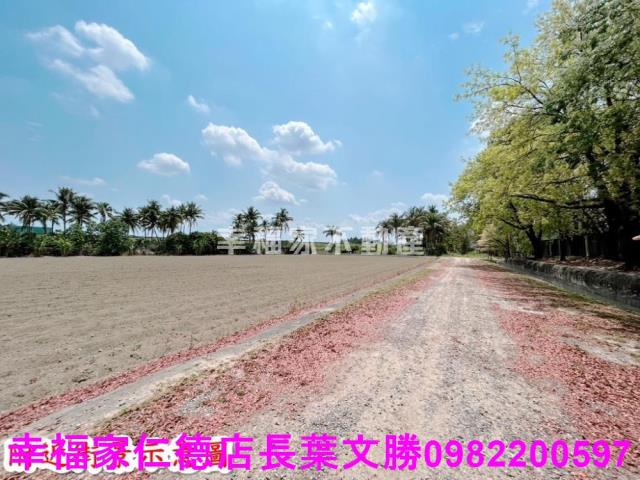 仁德農地-10