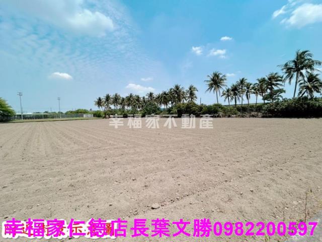 仁德農地-11
