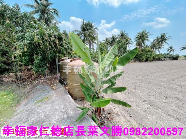 仁德農地-14