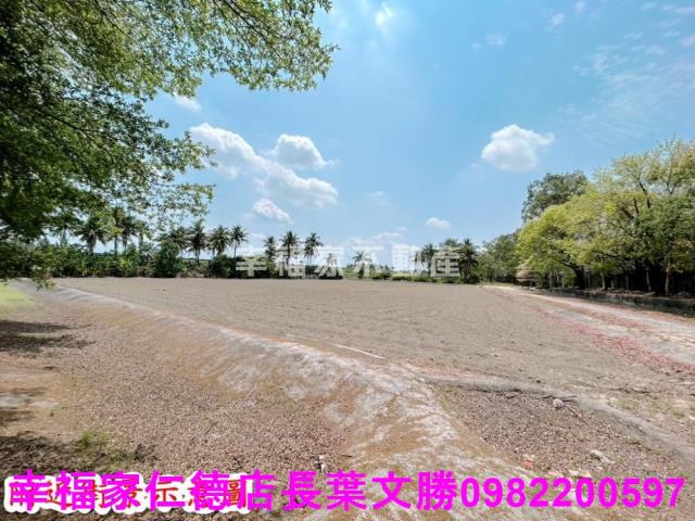 仁德農地-4