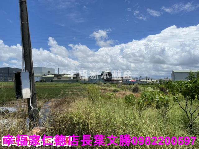 仁德農地-11