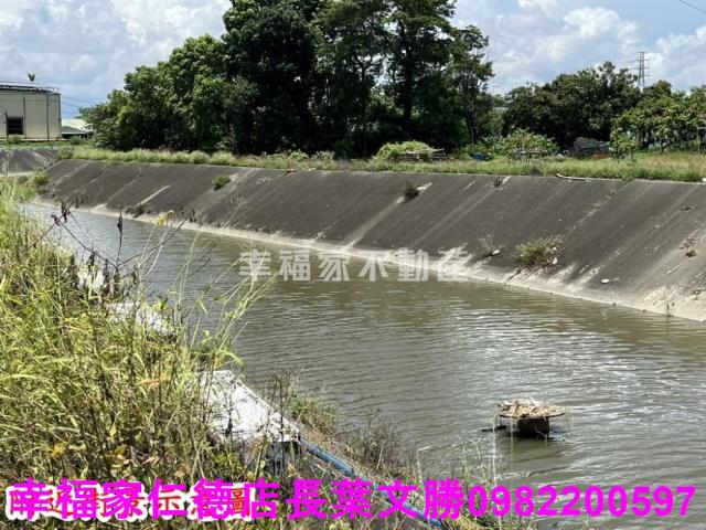 仁德農地-12